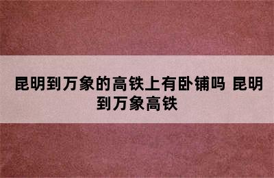 昆明到万象的高铁上有卧铺吗 昆明到万象高铁